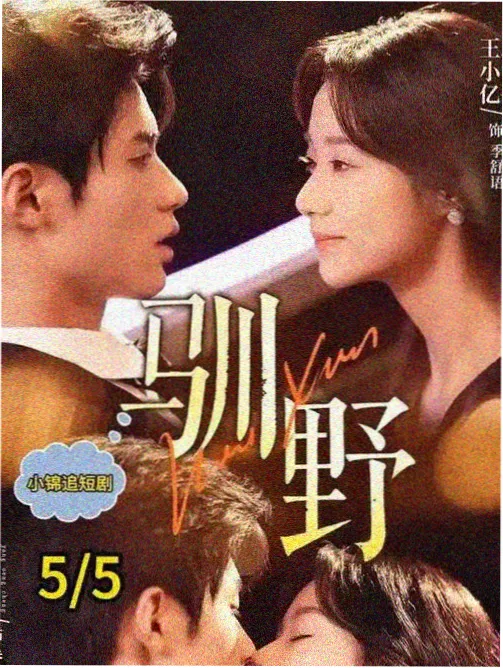 韩剧行业观察 悬疑剧集数变化